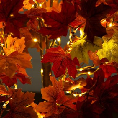 Image showing  5 ft. Pre-Lit Shades of Autumn Maple Artificial Fall Tree with 270 Warm White LED Lights
