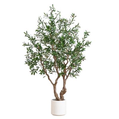 Nearly Natural 6 ft. Artificial Grand Olive Tree in White Decorative Planter