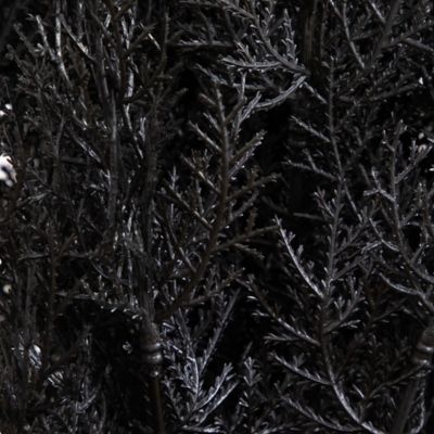 Image showing  4 ft. UV Resistant Artificial Halloween Black Cedar Tree (Indoor/Outdoor)