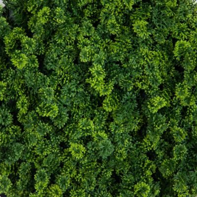 Image showing  20 in. UV Resistant Irish Green Meadow Artificial Living Wall Art Panel in Black Aluminum Frame (Indoor/Outdoor)