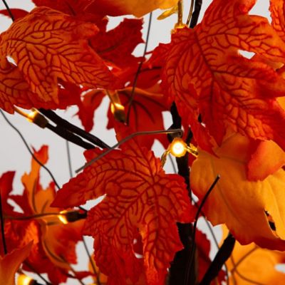 Image showing  2 ft. Pre-Lit Bright Autumn Maple Artificial Fall Tree with 24 Warm White LED Lights and Detachable Base