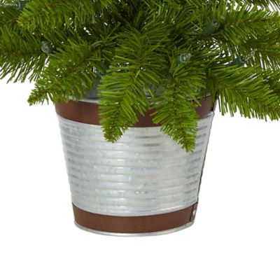 Image showing  2 ft. Providence Pine Artificial Christmas Tree in Planter with Warm White Lights and Bendable Branches