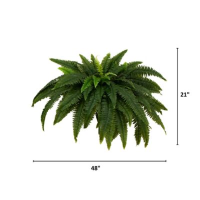 Image showing  48 in. UV Resistant Artificial Boston Fern (Indoor/Outdoor) - Set of 2