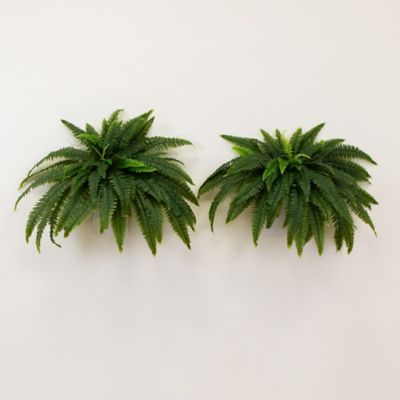 Image showing  48 in. UV Resistant Artificial Boston Fern (Indoor/Outdoor) - Set of 2