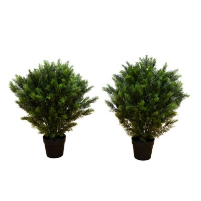 Nearly Natural 3 ft. Artificial Cedar Tree UV Resistant (Indoor/Outdoor) - Set of 2