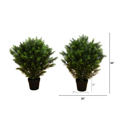 Image showing  3 ft. Artificial Cedar Tree UV Resistant (Indoor/Outdoor) - Set of 2