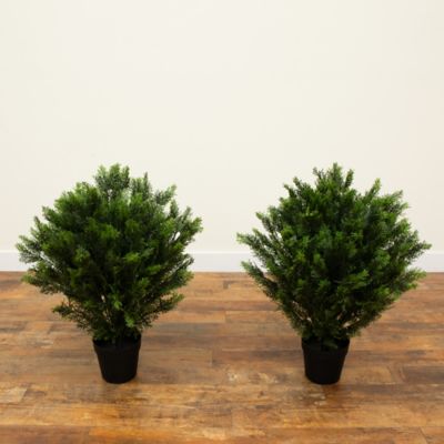 Image showing  3 ft. Artificial Cedar Tree UV Resistant (Indoor/Outdoor) - Set of 2