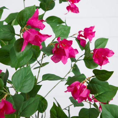 Image showing  6 ft. Artificial Minimalist Bougainvillea Tree
