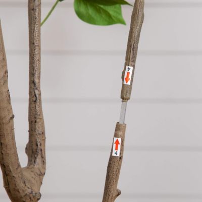 Image showing  6 ft. Artificial Minimalist Bougainvillea Tree