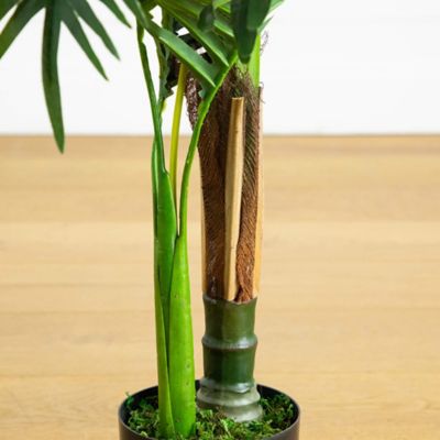 Image showing  3 ft. UV Resistant Artificial Double Robellini Palm Tree (Indoor/Outdoor)