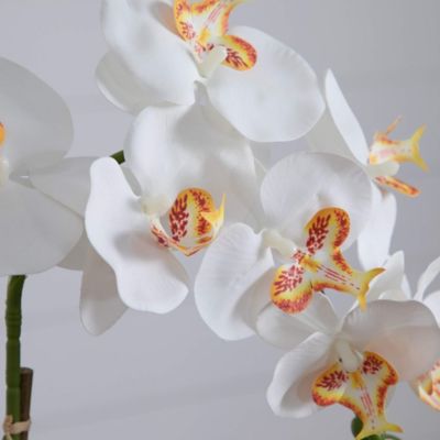 Image showing  26 in. Artificial Orchid Arrangement in Handmade Mexican Talavera Ceramic Planter