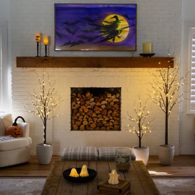 Image showing  3 ft., 5 ft. and 6 ft. Artificial Brown Birch Trees with Warm White LED Lights - Set of 3