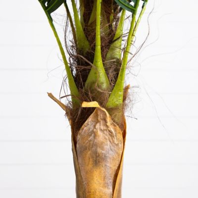 Image showing  6 ft. Artificial Coconut Palm Tree