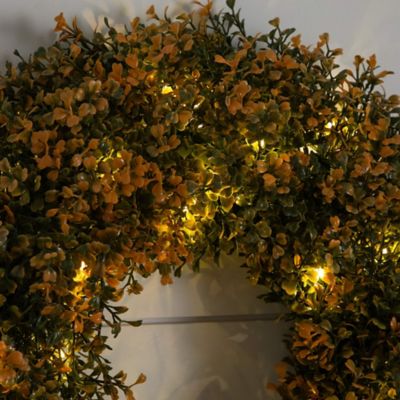 Image showing  18 in. Pre-Lit Autumn Boxwood Artificial Fall Wreath with 25 Warm White LED Lights
