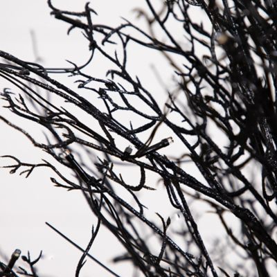 Image showing  5 ft. Pre-Lit Halloween Black Twig Artificial Fall Tree in Burlap Planter with 85 Warm White LED Lights