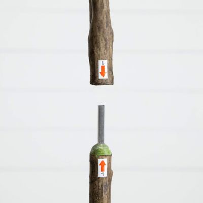 Image showing  6ft. Artificial Maple Tree