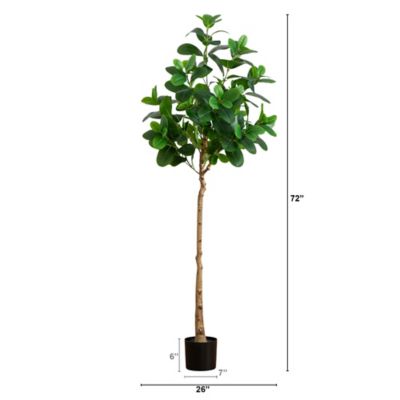 Image showing  6 ft. Artificial Audrey Ficus Tree
