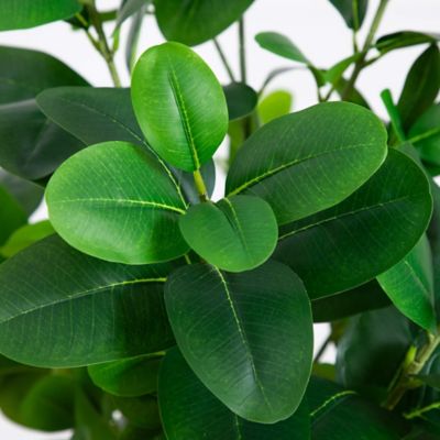 Image showing  6 ft. Artificial Audrey Ficus Tree