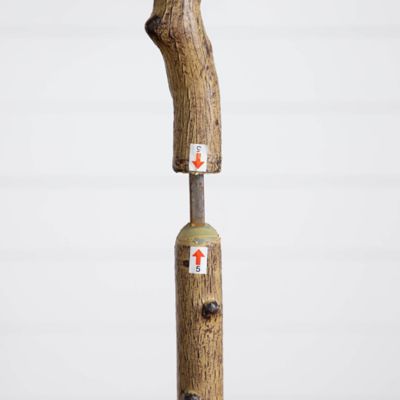 Image showing  6 ft. Artificial Audrey Ficus Tree