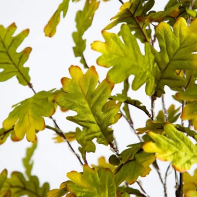 Image showing  5 ft. Pre-Lit Green Autumn Oak Artificial Fall Tree with 200 Warm White LED Lights