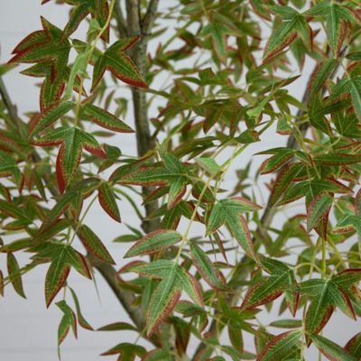Image showing  7 ft. Autumn Nandina Artificial Fall Tree