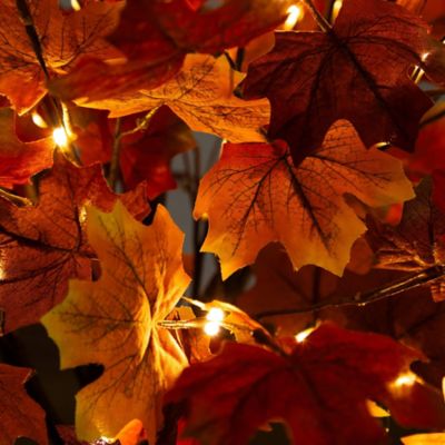 Image showing  4 ft. Pre-Lit Deluxe Autumn Maple Artificial Fall Tree with 68 Warm White LED Lights