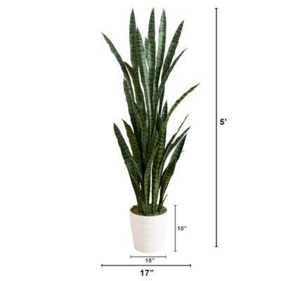 Image showing  5 ft. UV Resistant Artificial Sansevieria Plant in White Decorative Planter (Indoor/Outdoor)