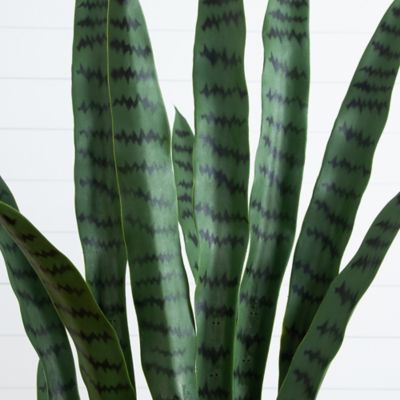 Image showing  5 ft. UV Resistant Artificial Sansevieria Plant in White Decorative Planter (Indoor/Outdoor)