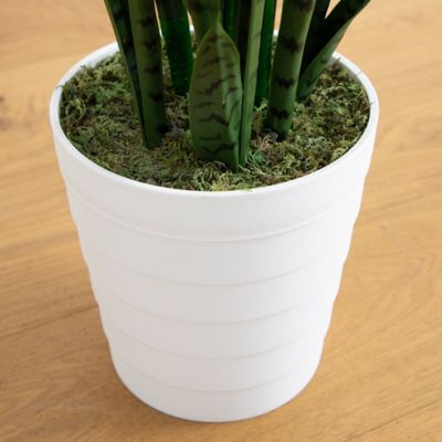 Image showing  5 ft. UV Resistant Artificial Sansevieria Plant in White Decorative Planter (Indoor/Outdoor)