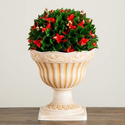 Image showing  22 in. UV Resistant Artificial Red Tip Photinia Christmas Ball in Classic Decorative Planter (Indoor/Outdoor)