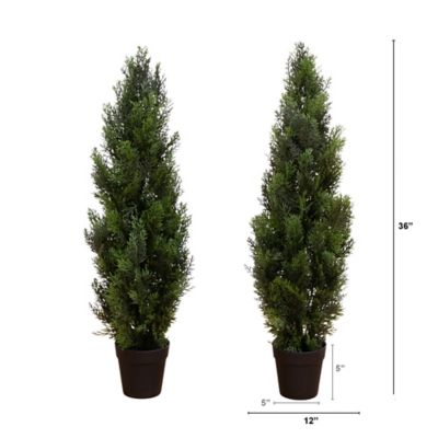 Image showing  3 ft. Artificial Cedar Pine Tree UV Resistant (Indoor/Outdoor) - Set of 2