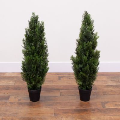 Image showing  3 ft. Artificial Cedar Pine Tree UV Resistant (Indoor/Outdoor) - Set of 2