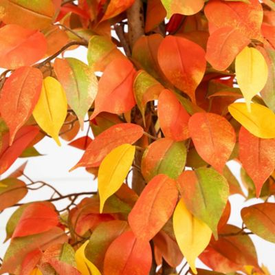 Image showing  3 ft. Autumn Ficus Artificial Fall Tree
