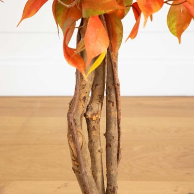 Image showing  3 ft. Autumn Ficus Artificial Fall Tree