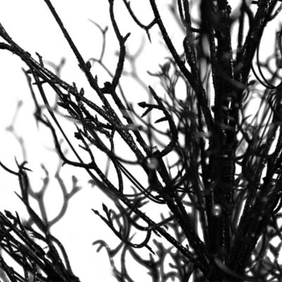 Image showing  3 ft. Pre-Lit Halloween Black Twig Artificial Fall Tree in Burlap Planter with 52 Warm White LED Lights