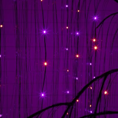 Image showing  7 ft. Pre-Lit Artificial Halloween Black Willow Tree with 600 Purple and Orange Dual Color LED Lights