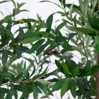 Image showing  8 ft. Artificial Grand Olive Tree in White Decorative Planter