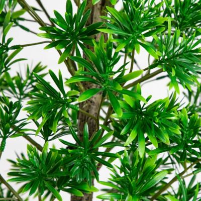 Image showing  6 ft. UV Artificial Podocarpus Artificial Tree (Indoor/Outdoor)