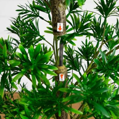 Image showing  6 ft. UV Artificial Podocarpus Artificial Tree (Indoor/Outdoor)