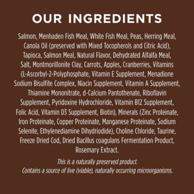 Image showing 6 th Instinct Original Grain Free Recipe with Real Salmon Natural Dry Cat Food, 10 lb. Bag