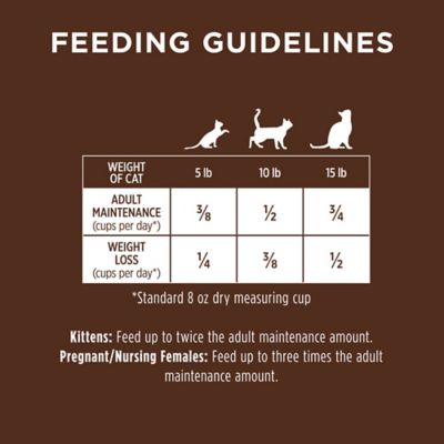 Image showing 8 th Instinct Original Grain Free Recipe with Real Salmon Natural Dry Cat Food, 10 lb. Bag