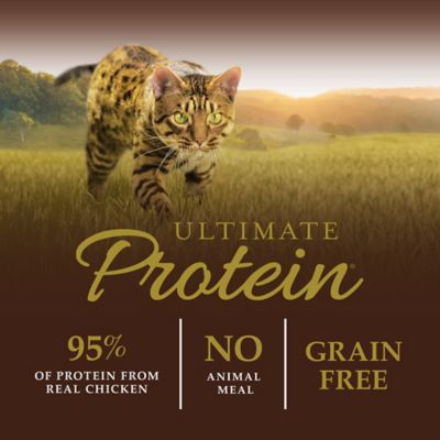 Image showing  Ultimate Protein Grain Free Cage Free Chicken Recipe Natural Dry Cat Food , 10 lb. Bag