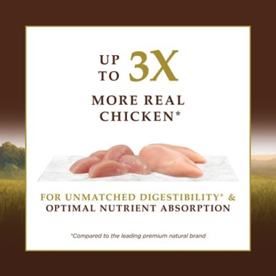 Image showing  Ultimate Protein Grain Free Cage Free Chicken Recipe Natural Dry Cat Food , 10 lb. Bag