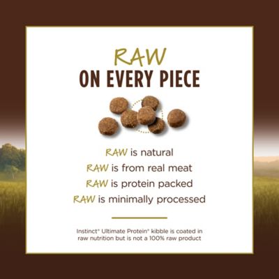 Image showing 5 th Instinct Ultimate Protein Grain Free Cage Free Chicken Recipe Natural Dry Cat Food , 10 lb. Bag