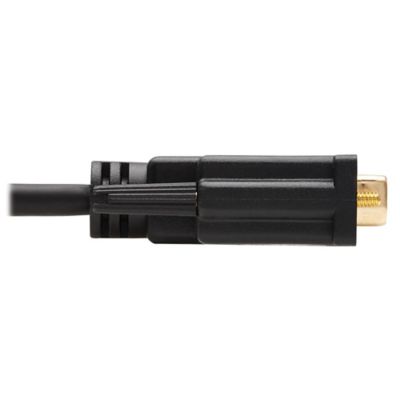 Image showing  1080p HDMI Male to DVI-D Male Video Adapter Cable, 6 ft., Black, P566-006