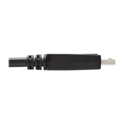 Image showing  1080p DisplayPort Male with Latch to DVI-D Male Single Link Adapter Cable, Black, 6 ft., P581-006