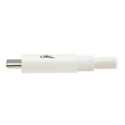 Image showing 4 th Tripp Lite USB4 Charge-and-Sync 40-Gbps 240-Watt USB-C PD Cable, White, 3.3 ft., U521-1P0M-WH