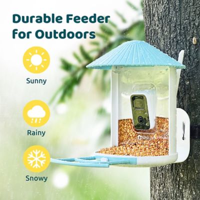 Image showing  The Smart Eye in Your Garden: Camera Feeder That Automatically Knows Your Birds