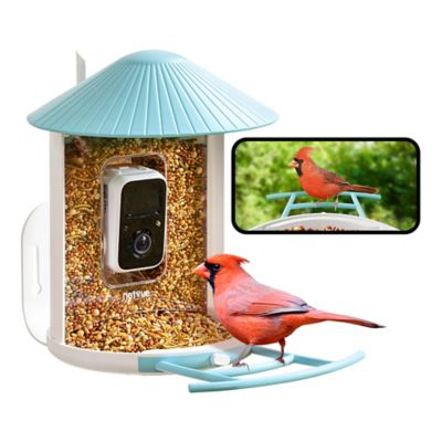 Image showing  Wireless Smart Bird Feeder with HD Video - Stream & Identify Birds from Anywhere with Advanced AI
