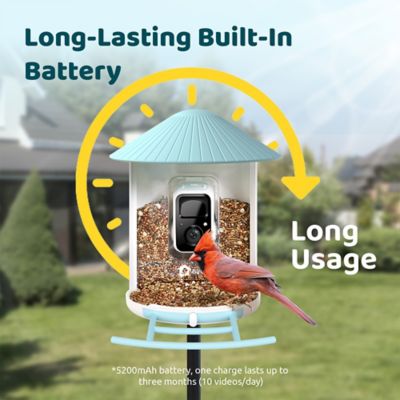 Image showing  Wireless Smart Bird Feeder with HD Video - Stream & Identify Birds from Anywhere with Advanced AI